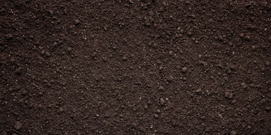 topsoil